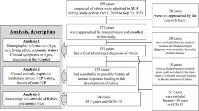 Puppies as the primary causal animal for human rabies cases: three-year prospective study of human rabies in the Philippines